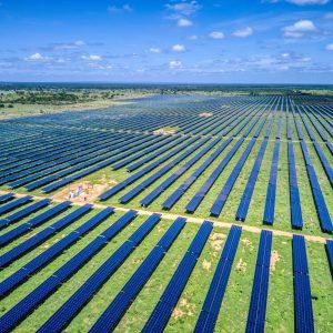 UFV-Assuruá-foto2-2